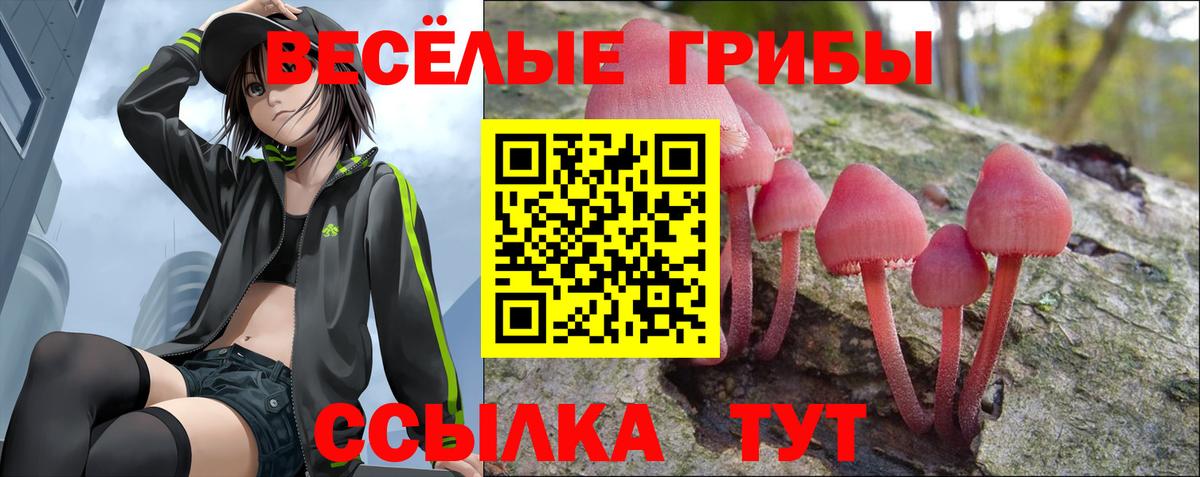 Псилоцибиновые грибы мицелий Чусовой